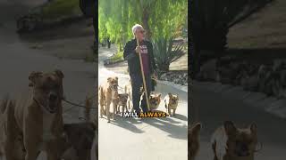 How to stay present in a world full of distractions | Walking with Cesar