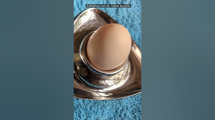 🥚🔨 Harte Fakten für Weicheier 🐣 Gute #Bruteier mit passend dicker #Eierschale finden #Hühner #Shorts