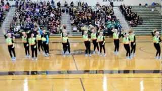 RHS Dance Team Competes 1/12/13