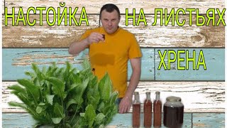 ЛЕКАРСТВЕННАЯ НАСТОЙКА НА ЛИСТЬЯХ ХРЕНА