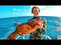 5 DAYS AT SEA Spearfishing Coral Trout - Catch n Cook!