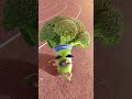 Guess the Color? 🐝🌙 Bee, Moon &amp; Broccoli Magic Game! #shorts#fyp #viral #viralvideo #kidsfun #colors
