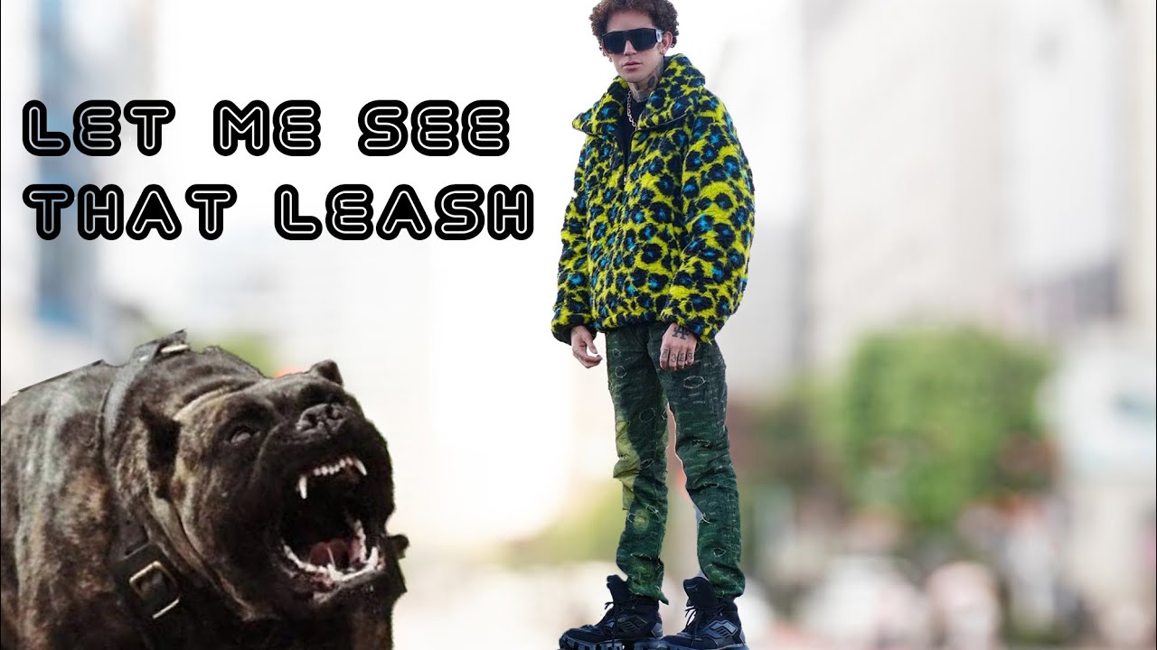 Агрессивный питбуль под контролем за одну тренировку.