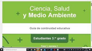 FORMA Y FUNCION DE LOS TALLOS ( CIENCIA 3°, FASE 1, SEMANA 1)