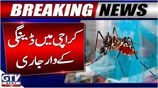 Dengue Outbreak In Karachi Rising Cases & Health Warning Breaking News