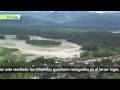 Bolivia News 01 Diciembre 2014