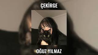Oğuz Yılmaz - Çekirge Speed Up