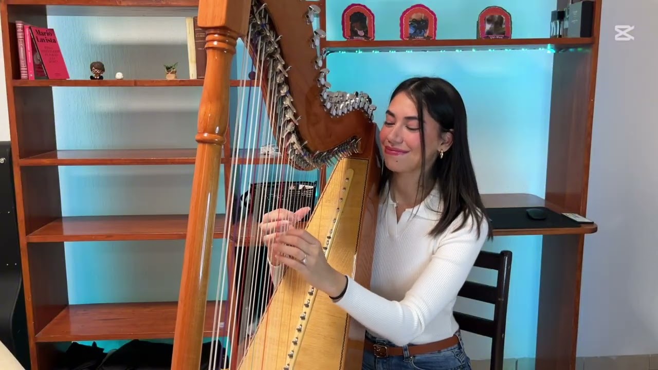 El tamborilero en ARPA PARAGUAYA 