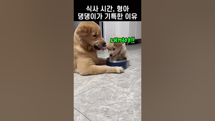 나도 한입만! 참을성 대박인 형아 댕댕이