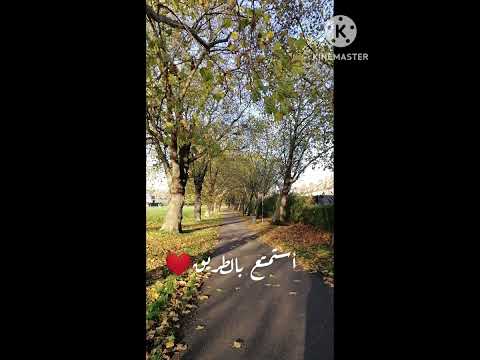 للمشتاقين لزيارة نشيد أيها الضامن كلمات ابراهيم صديق 