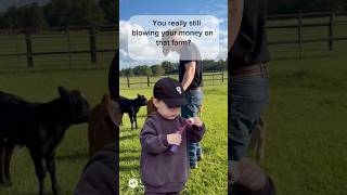 You bet I am! #cattlefarm #cattle #funny #farmhand #farmadvice #cow #ranchlife