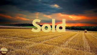 John Michael Montgomery - Sold (The Grundy County Auction Incident) (Lyrics)