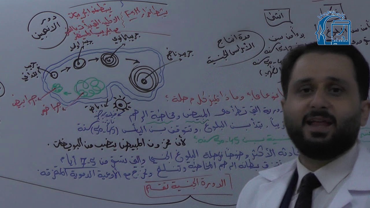 الدرس الحادي عشر-الدورة الجنسية-التكاثر عند الانسان-أ.أحمد حيدر الشيخ