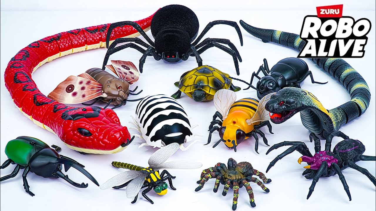 🐍toy asmr🐍 Real Wild RC Giant Snake & RC Huge Insects Collection Playset ASMR 🌟 Review Toys