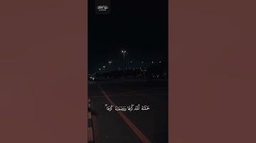 ماتيسر من سورة الأحقاف | القارئ محسن الدوسري