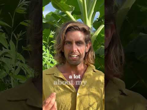 A first Body Insight session
