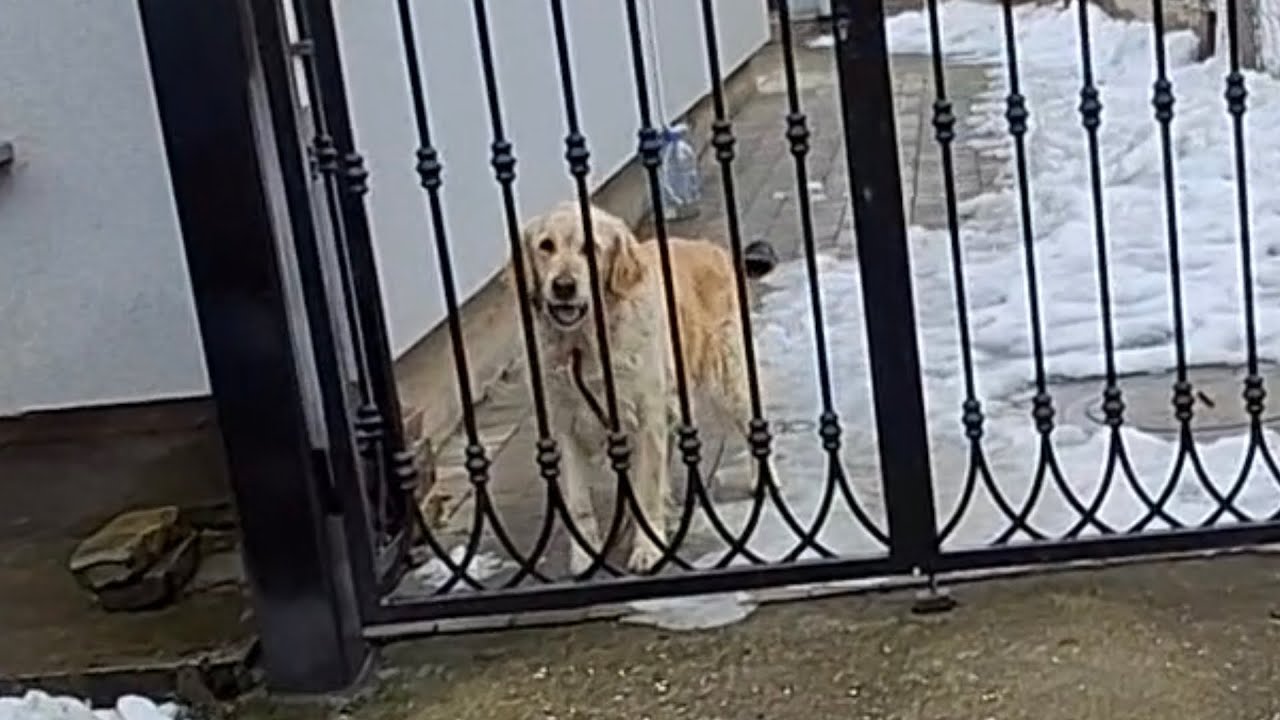 Otisao sam sa ekipom u univerxport prvi put u 8. Razredu part 26 