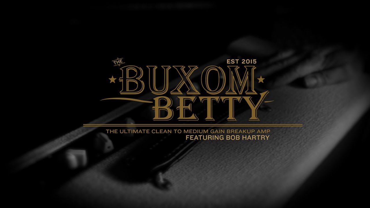 Friedman Amplification - Buxom Betty - YouTube