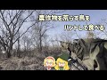 【ゆっくり狩猟】【ゆっくり実況】魔理沙の一狩り行こうぜ2025【ゆっくり料理】【ゆっくり解説】
