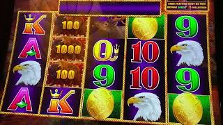 Buffalo Bonus Play 12