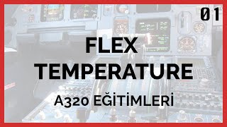 A320 Eğitim — Bölüm 1 — Flex Temperature/Thrust Nedir?
