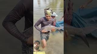 Big Fish Catch in Village Pond 🐟🐬🦈😍#fishing#fish#viral#funny#village#shorts