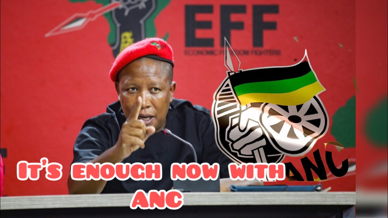Джулиус Малема из АНК проявляет неуважение к нам в муниципалитетах | Местные выборы