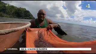 La Pêche Aux Inaa , De Plus En Plus Difficile
