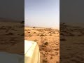 مين يعاديها فى الصحراء  اكسبلور سيناء اتحاد قبائل سيناء  المخبرات الحربيه