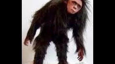 Bigfoot type Creature in the Abernethy Forest 2012