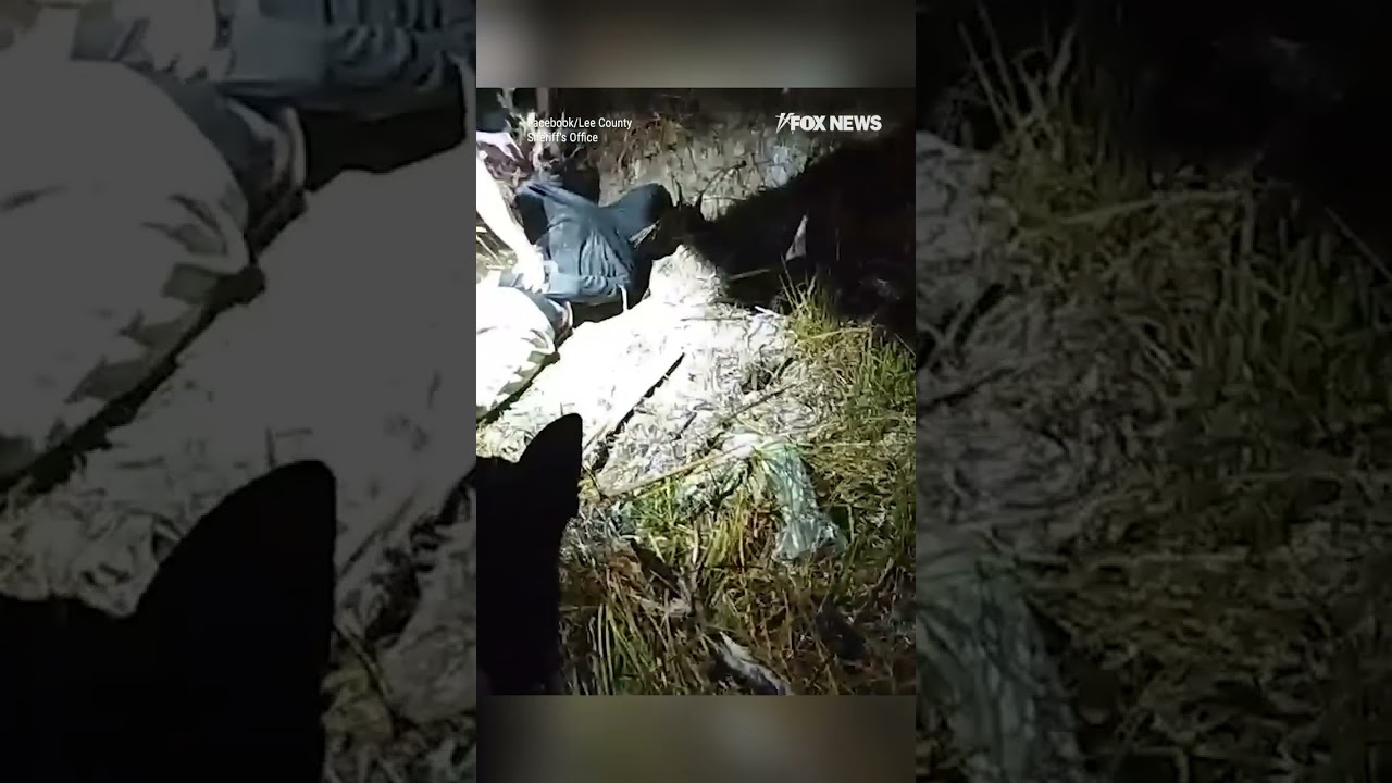 Police hunt down teens on CRIME SPREE #foxnews #news #us #fox