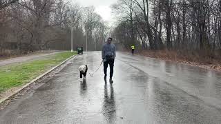 Caught In The Rain In Nyc