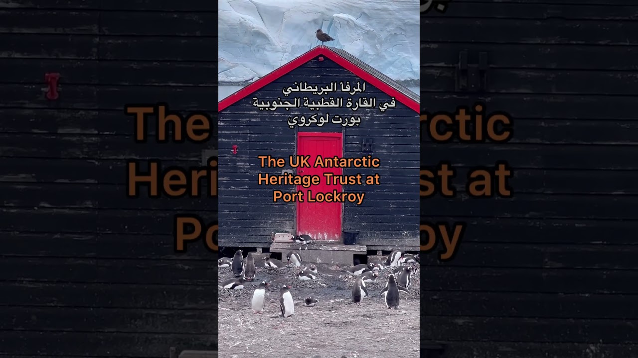 Port Lockroy is home to Antarctica’s only post office and museum 📩📭🏔 مكتب بريد القارة القطبية