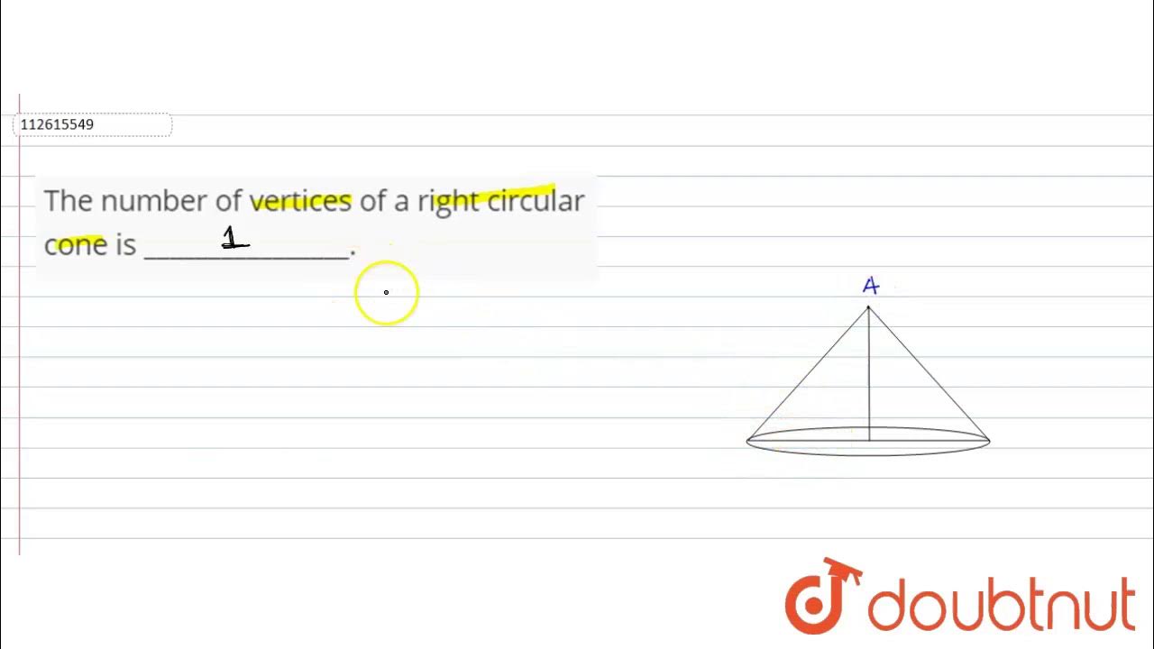 The number of vertices of a right circular cone is