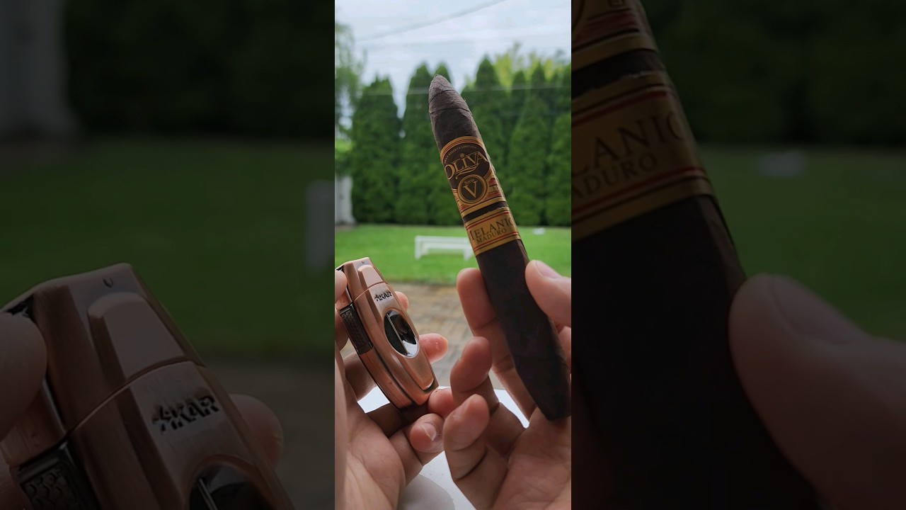 Perfect V cut ✂️🦈🔥 Xikar cutter 🤑 Oliva V 