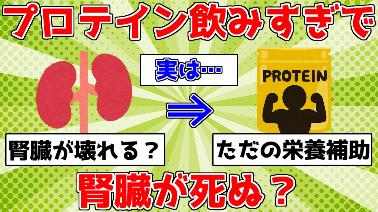 【健康】プロテイン飲みすぎで腎臓が死ぬ？【ゆっくり解説】