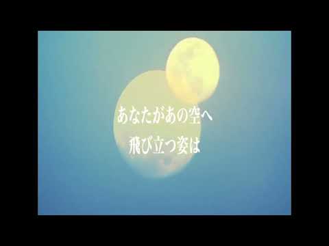 胡蝶蘭 / Reinore