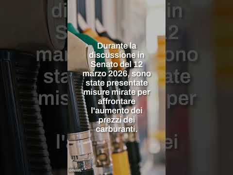 Video Bonus benzina per i redditi bassi, l'ipotesi entra in campo