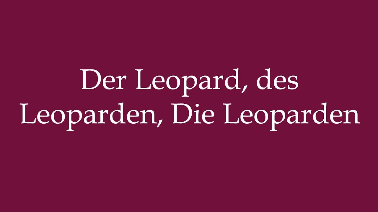 How to Pronounce ''Der Leopard, des Leoparden, Die Leoparden'' Correctly in German