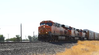 Fast 50 MPH BNSF Autorack Train Honking for a Grade Crossing at Finley WA (Fallbridge Subdivision)