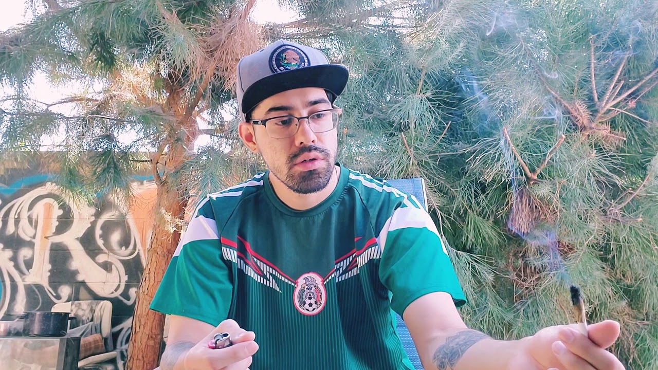 Zelly's Gift preroll review