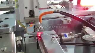 DF European Standard Micro Switch Shrapnel Assembly Machine