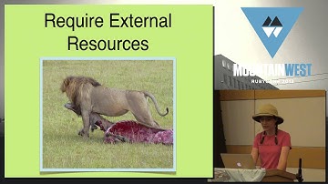 MountainWest RubyConf 2013 Going on a Testing Anti-Pattern Safari by Aja Hammerly