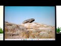 ACER Chromebook Spin 713 – Klavye Çalışmıyor Nasıl Düzeltilir