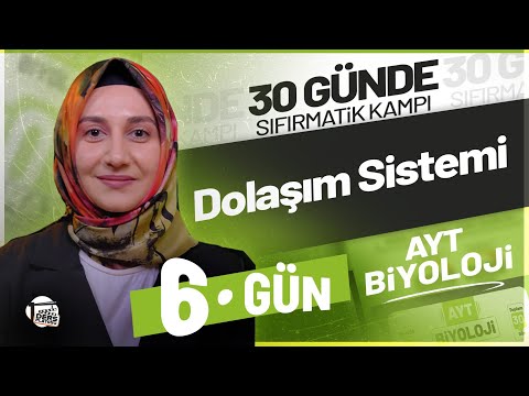 DOLAŞIM SİSTEMİ I AYT Biyoloji Kampı 6. Gün