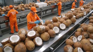 Inside a Modern Coconut Milk Factory: From Hard Coconut Shells to Creamy Coconut Milk (Full Process)
