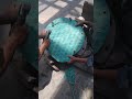 Dome valve assembly top cover gasket cutting.