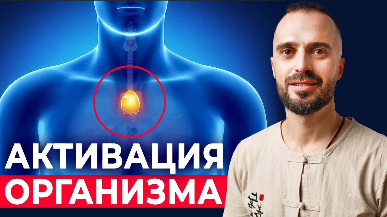 Активация Систем Организма. Полезные для здоровья упражнения на каждый ...