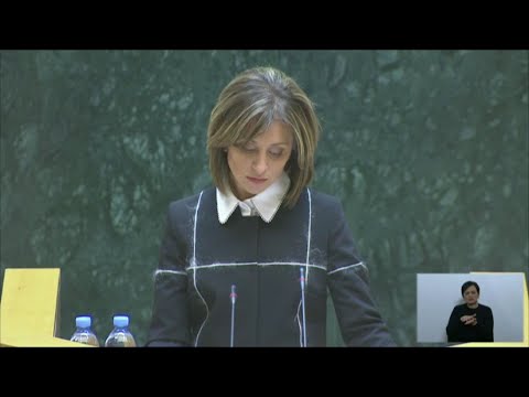 მწვავე შეკითხვები ეკატერინე ტიკარაძეს და პასუხებით უკმაყოფილო პარრლამენტარები