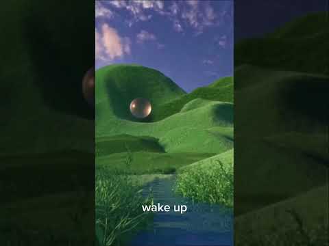 This Is Not Real Please Wake Up Wake Up Wake Up